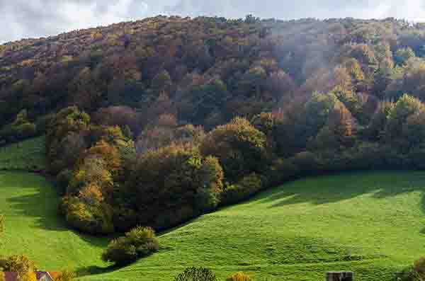 Reyno de Navarra - selva de Irati 01.jpg